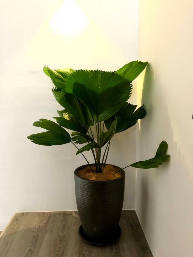 Minimalist Duplex @ Petaling Jaya & Sunway Leilighet Eksteriør bilde